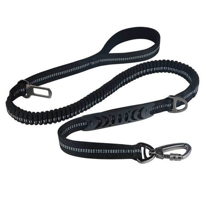 Dog Car Seat Belt