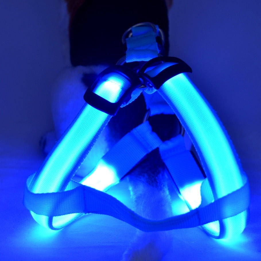 Rechargeable LED Florescent Dog Harness