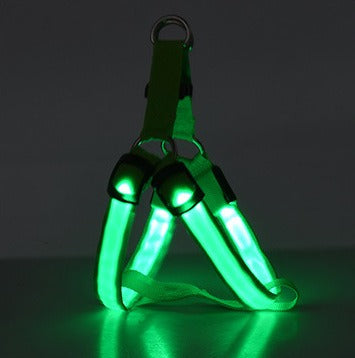 Rechargeable LED Florescent Dog Harness