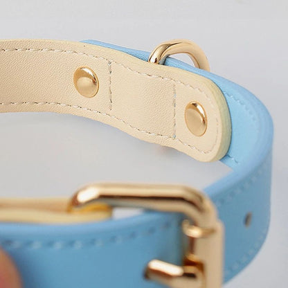 Genuine Leather Pet Dog/Cat Collar