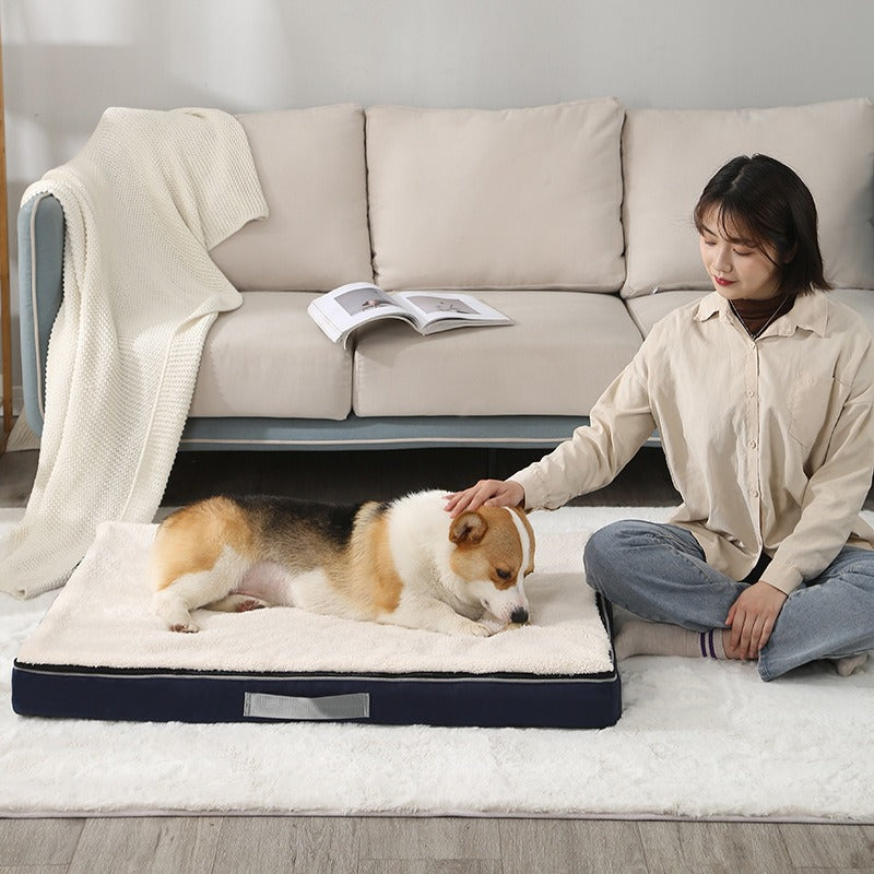 Dog Bed w/Memory Foam