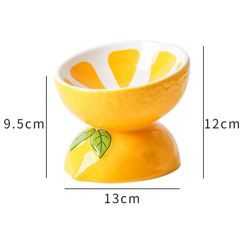 Ceramic Raised Food or Water Bowl