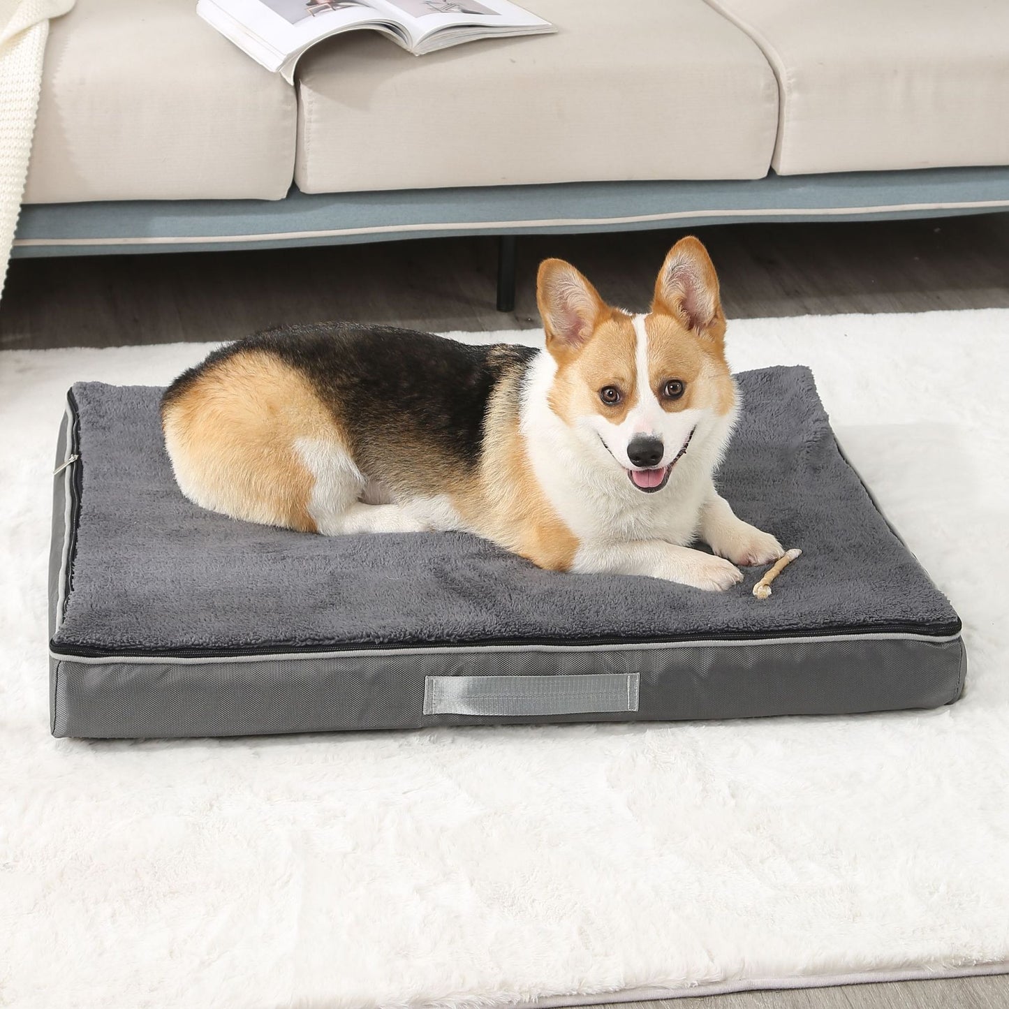 Dog Bed w/Memory Foam