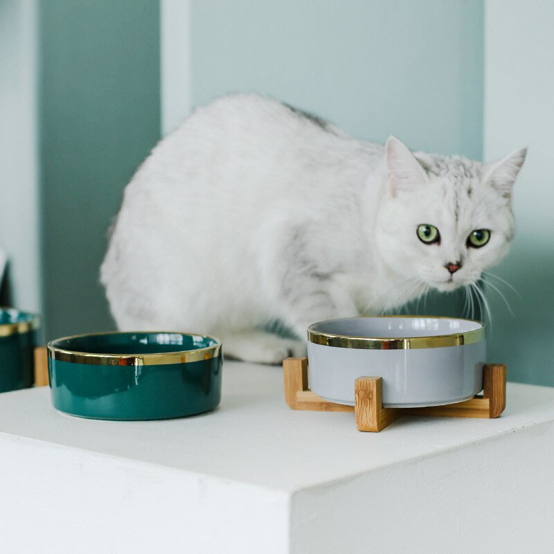 Ceramic Cat/Dog Bowl w/Bamboo Stand