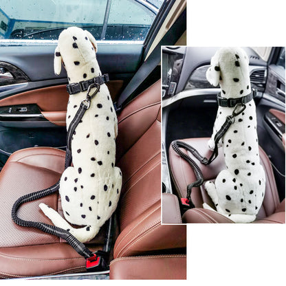 Dog Car Seat Belt