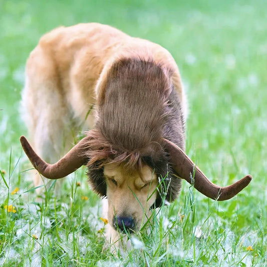 Funny And Cute Pet Dog Costume Bull Mane Wig Hat